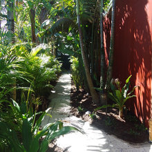 outdoor landscape