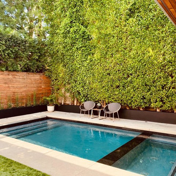 Backyard & Pool Remodel - Studio City