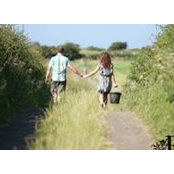 Stephen McElnay's photo