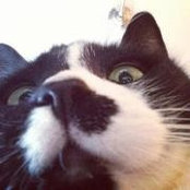 Gregory Boland's photo