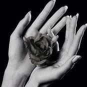 Audrey Marquerie's photo