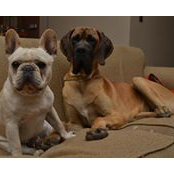 Veronica Schmidt's photo