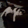 Mira Darquea's photo