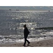 Julia Hartmann's photo