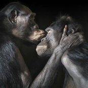 Nancy Reniere's photo