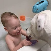 Sarah Gregg's photo