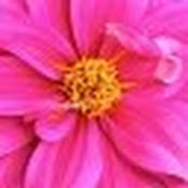 Jinhee Choi's photo