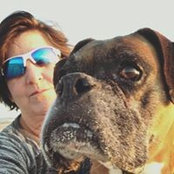 Susan Hermann's photo