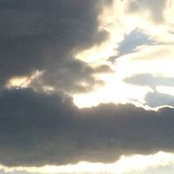 Carol Levy's photo