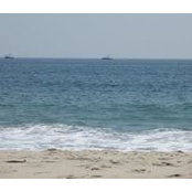Joanne Sullivan's photo