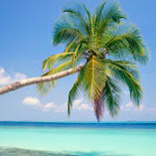 fiona fitzherbert's photo