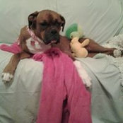 Iola Harkness's photo