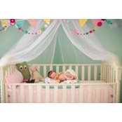 Colleen Collins's photo
