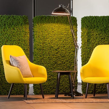 Preserved Plants Moss Design