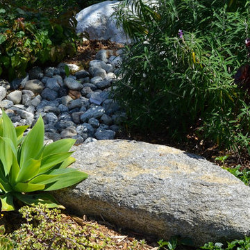An Urban Oasis