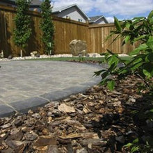 Backyard landscape
