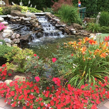 Landscape Ideas
