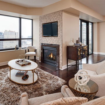 Grant Park Condo Renovation - Minneapolis