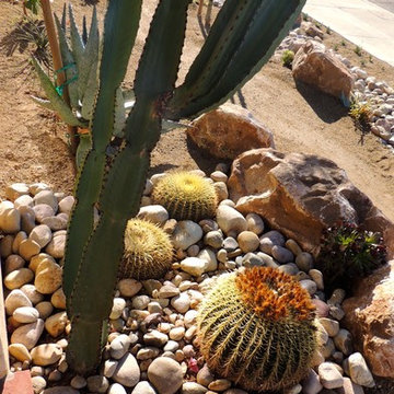 Xeriscape