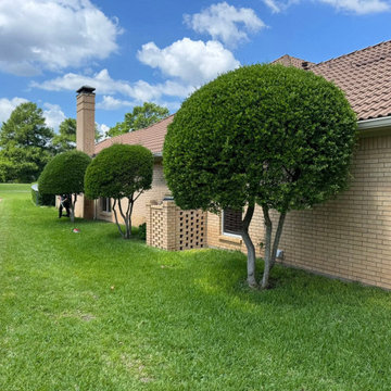 Front Yard Hydroseeding & New Lawn Establishment