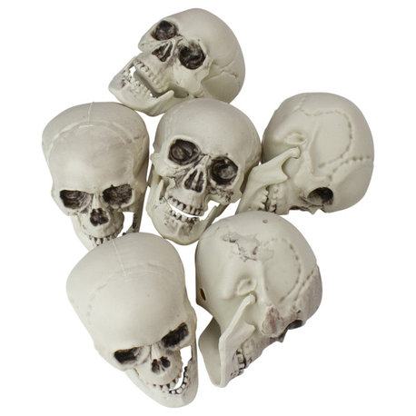 Pack of 6 White and Gray Skeleton Skull Heads Halloween Decorations 3.5"