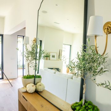 Dana Point Costal Contemporary