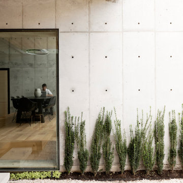 Concrete Box House