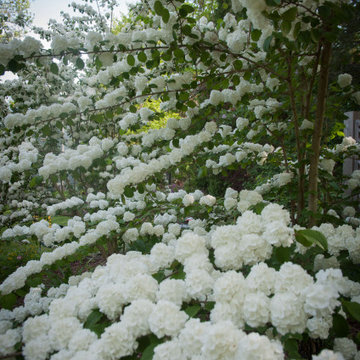 Create a meditation garden