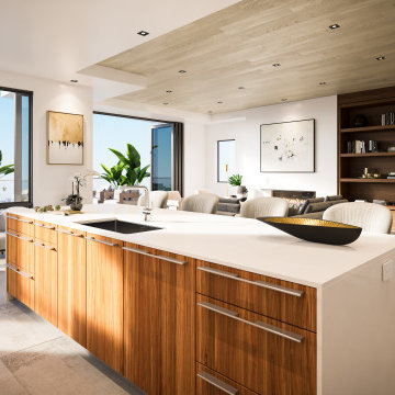 239 Carnation - Custom Modern Contemporary Home in Corona Del Mar, 2020