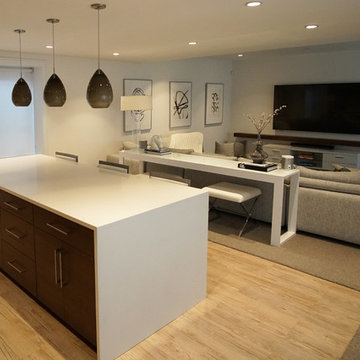 Boulder Basement Remodel