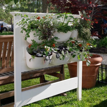 Morven in May - Entry Garden - Princeton NJ