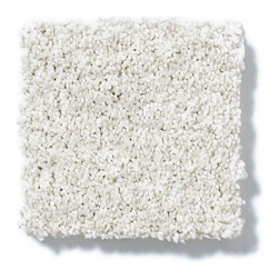 Shaw Carpet- Titanium Tonal: Aspen - Products
