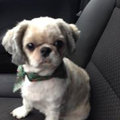 Vera Newbold's photo