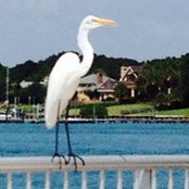 Sandra Hembree's photo