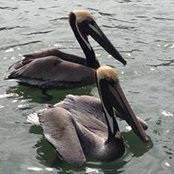 Neil Clements's photo