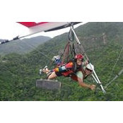 Bailey Allett's photo