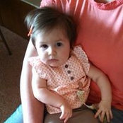 Pat Heldt Cook's photo