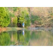 Jay Morris's photo