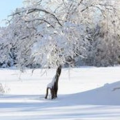 JulieAnne Morin's photo