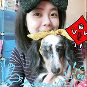 Foto von Alice Yang