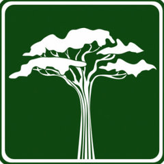 Belleville Tree Service