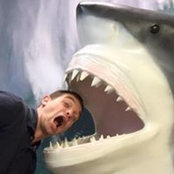 Kevin Bernier's photo