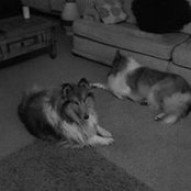 Louise Mcgovern's photo