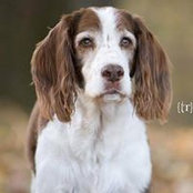 Amanda Spencer's photo
