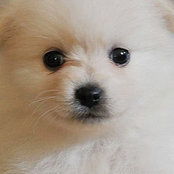 Foto von littlezuzu