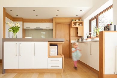 Photo of a contemporary kitchen in Other.