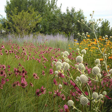 Organized Prairie
