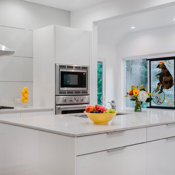 Modern modes in an eclectic Brookline, MA abode