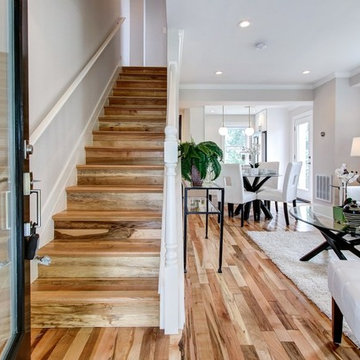 Washington DC - Entryway Stairs
