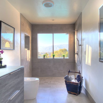 Hope Ranch Mid Century Modern